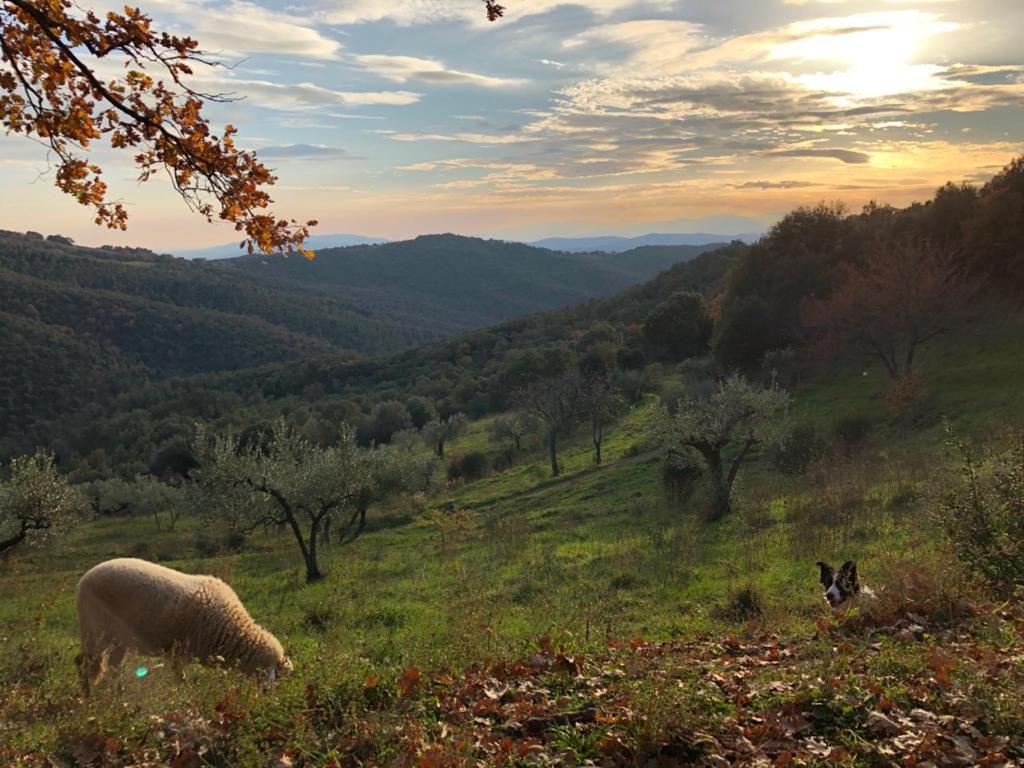 Nocini di Maremma Villa Tatti Esterno foto