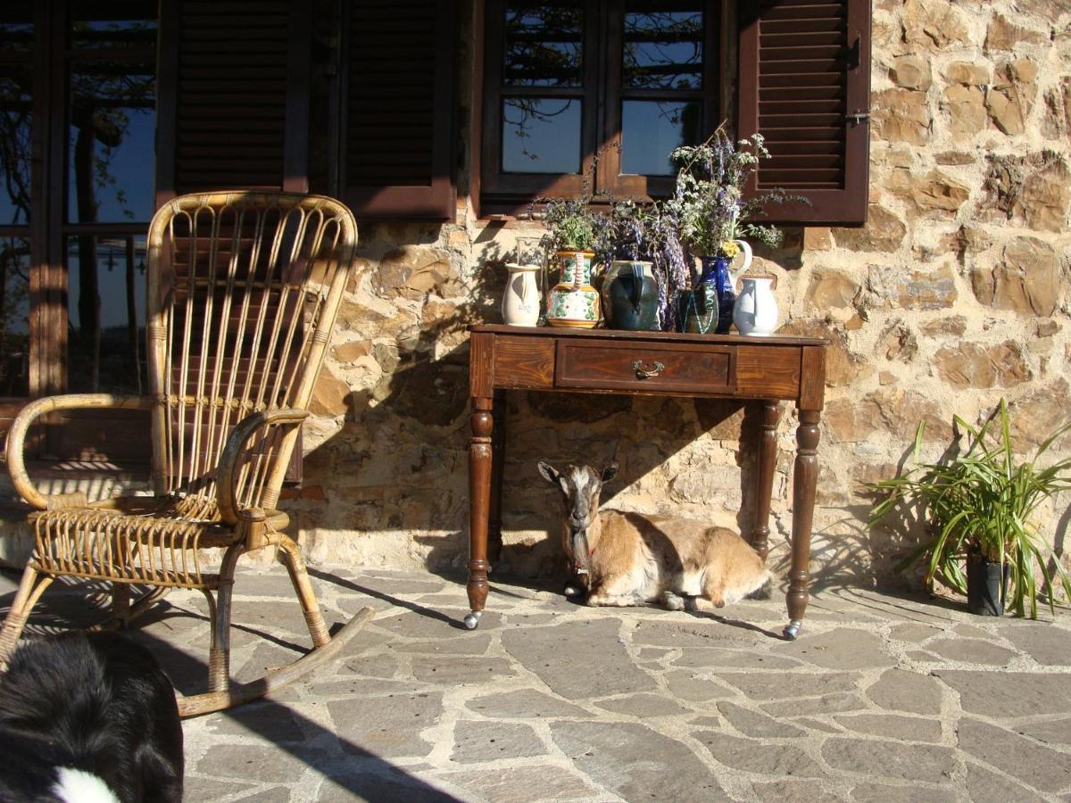 Villa Nocini di Maremma Tatti Esterno foto