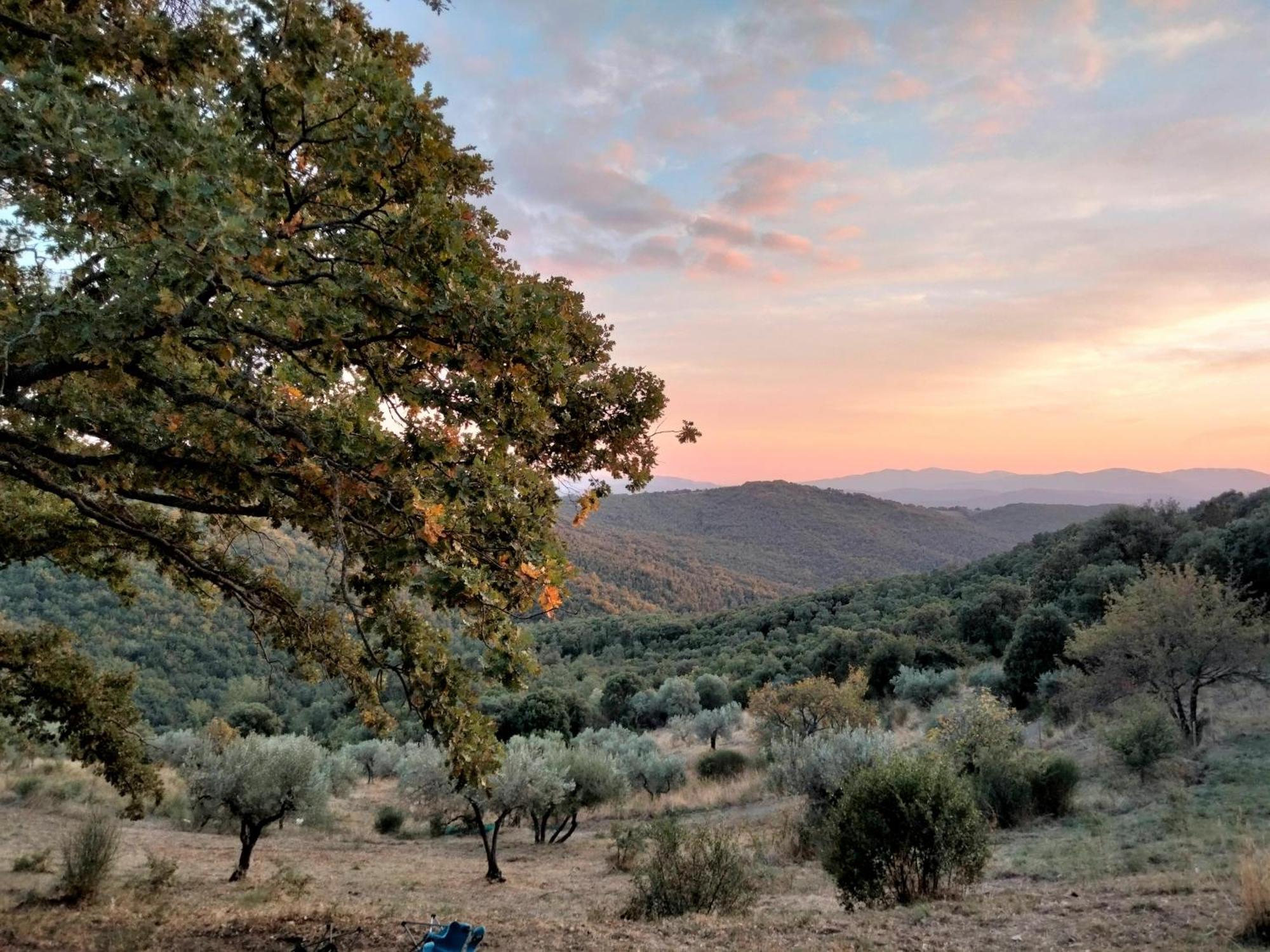 Villa Nocini di Maremma Tatti Esterno foto