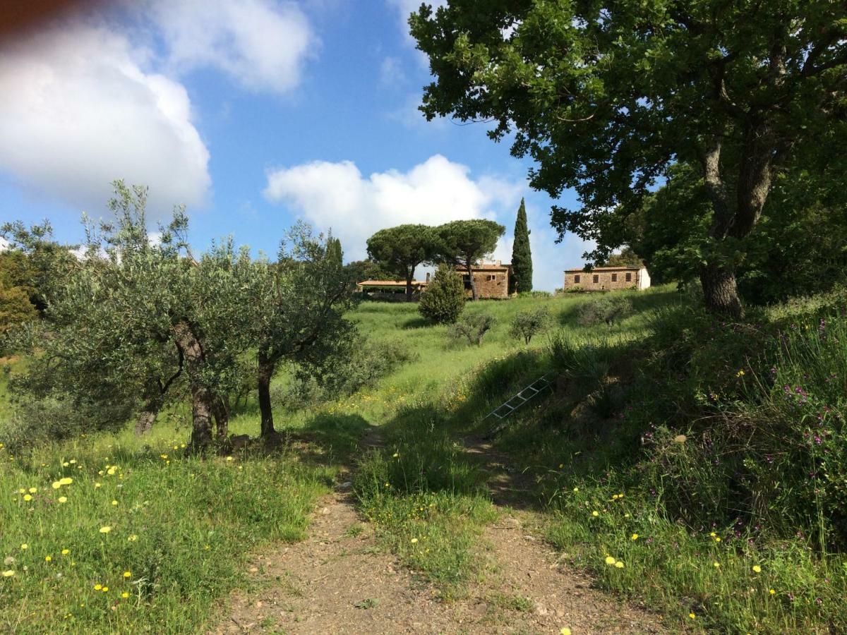 Villa Nocini di Maremma Tatti Esterno foto