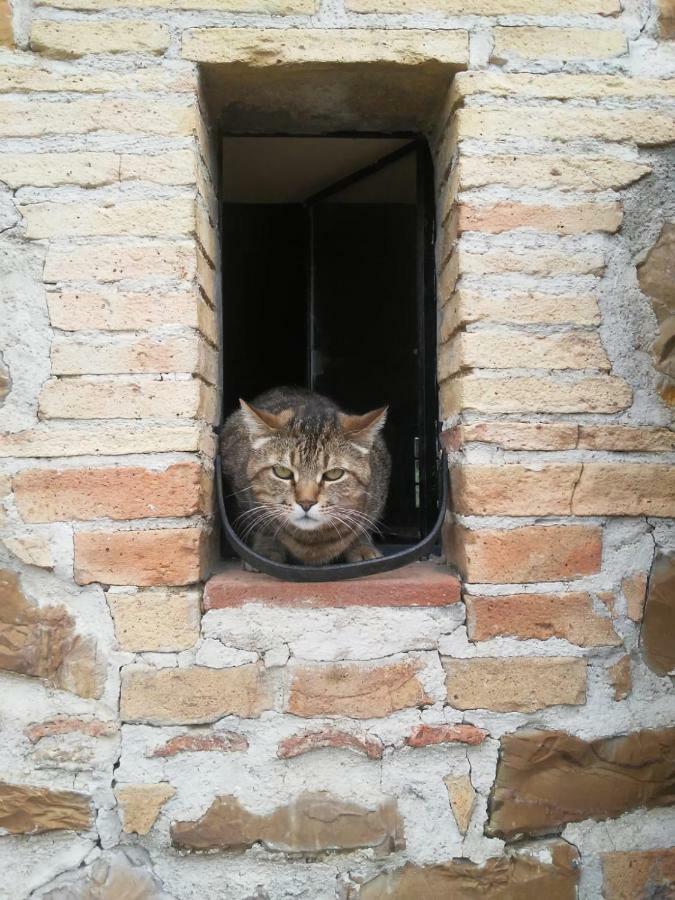 Nocini di Maremma Villa Tatti Esterno foto